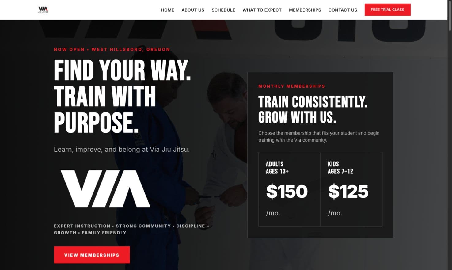 Train Via BJJ website homepage